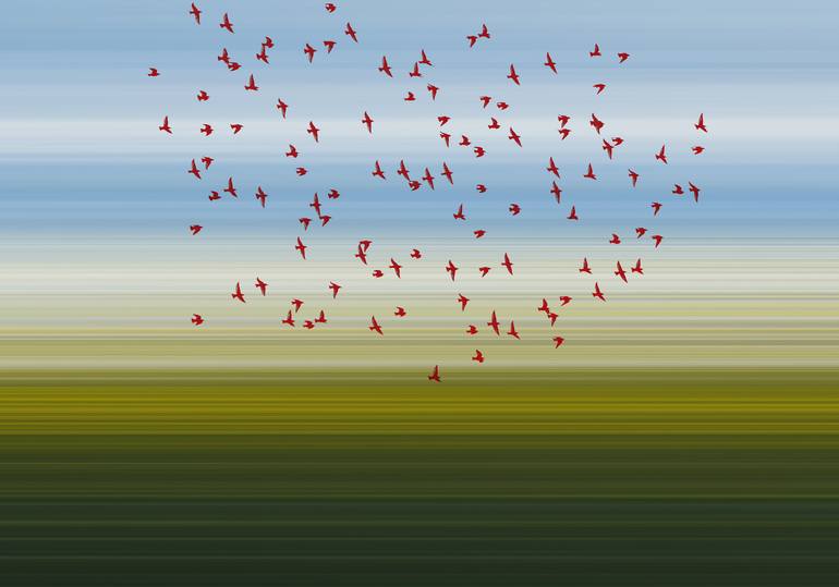 Original  Photography by Igor Vitomirov